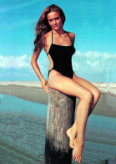 Diane Lane - Photo