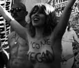 Loredana Cannata - Photo